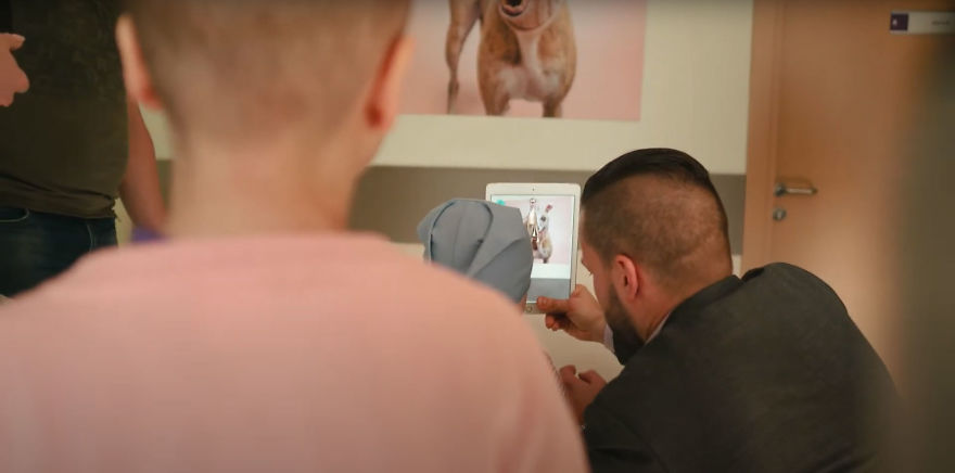 I Created This Interactive App Featuring Funny Dogs To Bring Positivity To Kids With Cancer I Created This Interactive App Featuring Funny Dogs To Bring Positivity To Kids With Cancer