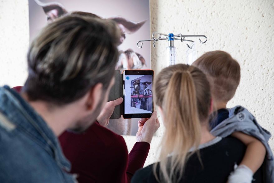 I Created This Interactive App Featuring Funny Dogs To Bring Positivity To Kids With Cancer I Created This Interactive App Featuring Funny Dogs To Bring Positivity To Kids With Cancer