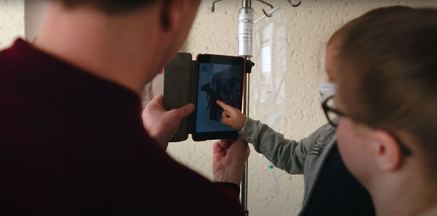 I Created This Interactive App Featuring Funny Dogs To Bring Positivity To Kids With Cancer I Created This Interactive App Featuring Funny Dogs To Bring Positivity To Kids With Cancer