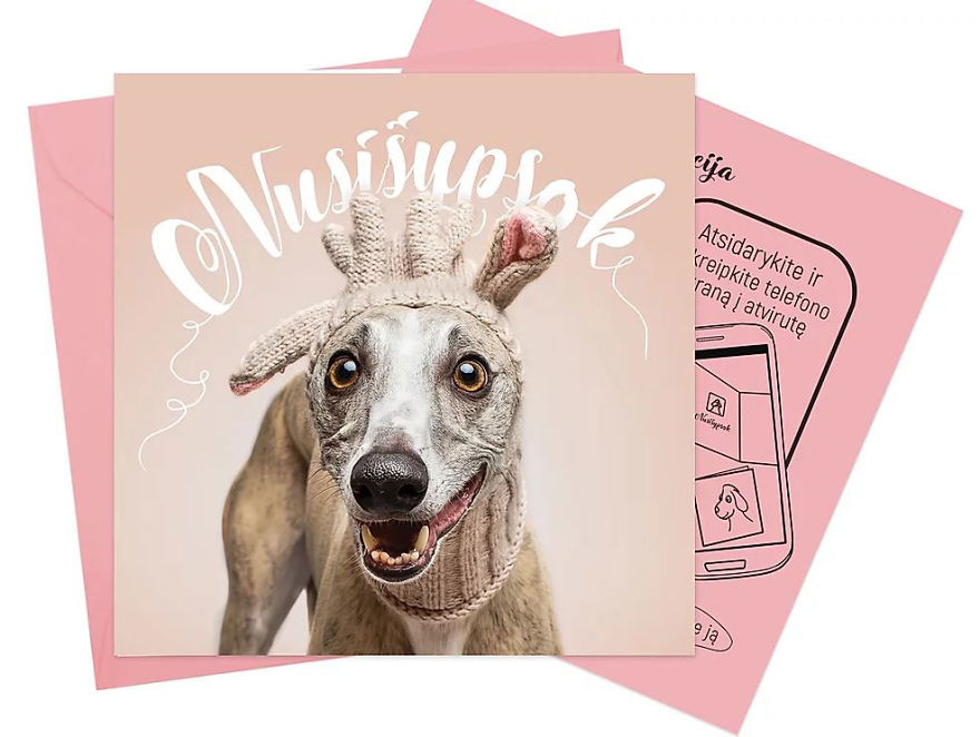 I Created This Interactive App Featuring Funny Dogs To Bring Positivity To Kids With Cancer I Created This Interactive App Featuring Funny Dogs To Bring Positivity To Kids With Cancer