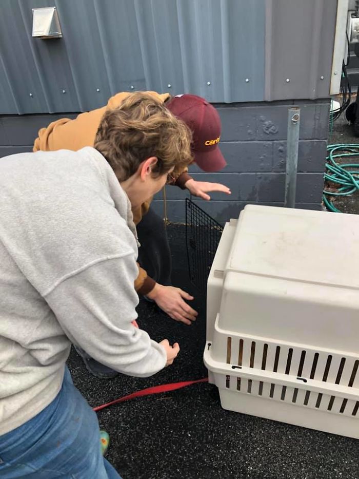 Dog Finally Gets To See Her Owners After Being Missing For Almost 2 Months Dog Finally Gets To See Her Owners After Being Missing For Almost 2 Months