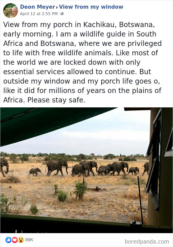 Insanely Popular Online Group Has People Sharing Their ‘View From My Window’ And Here Are The 40 Best Submissions Insanely Popular Online Group Has People Sharing Their ‘View From My Window’ And Here Are The 40 Best Submissions