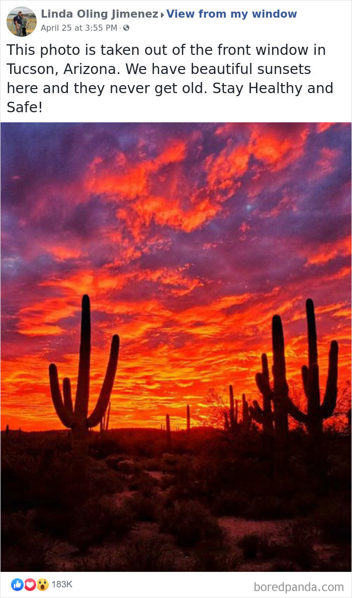 Insanely Popular Online Group Has People Sharing Their ‘View From My Window’ And Here Are The 40 Best Submissions Insanely Popular Online Group Has People Sharing Their ‘View From My Window’ And Here Are The 40 Best Submissions