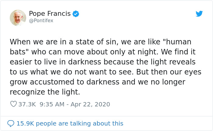 The Pope “Insults” Bats On Twitter, Gets Schooled By A Bat Expert The Pope “Insults” Bats On Twitter, Gets Schooled By A Bat Expert