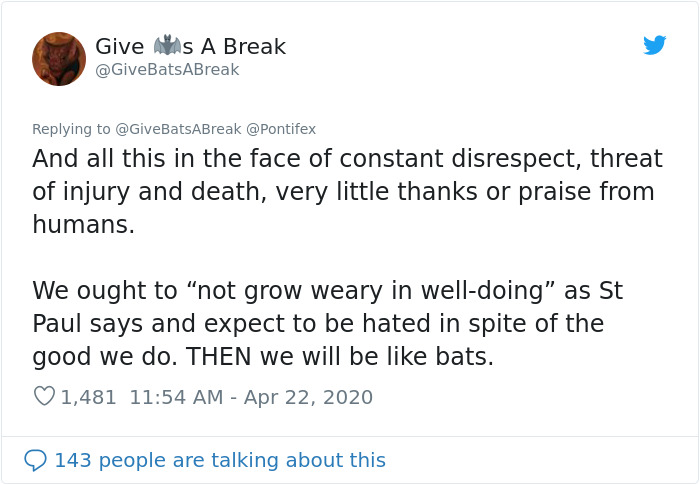 The Pope “Insults” Bats On Twitter, Gets Schooled By A Bat Expert The Pope “Insults” Bats On Twitter, Gets Schooled By A Bat Expert
