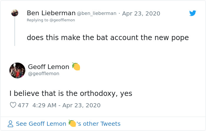 The Pope “Insults” Bats On Twitter, Gets Schooled By A Bat Expert The Pope “Insults” Bats On Twitter, Gets Schooled By A Bat Expert