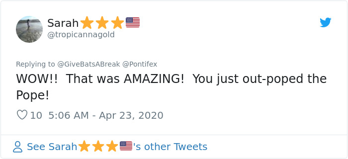 The Pope “Insults” Bats On Twitter, Gets Schooled By A Bat Expert The Pope “Insults” Bats On Twitter, Gets Schooled By A Bat Expert