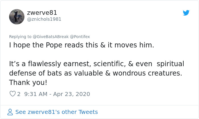 The Pope “Insults” Bats On Twitter, Gets Schooled By A Bat Expert The Pope “Insults” Bats On Twitter, Gets Schooled By A Bat Expert