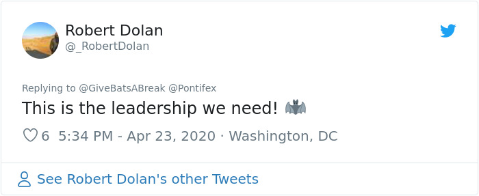 The Pope “Insults” Bats On Twitter, Gets Schooled By A Bat Expert The Pope “Insults” Bats On Twitter, Gets Schooled By A Bat Expert