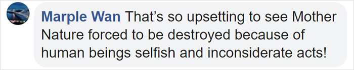 800,000 Tulips Were Cut Down In This Japanese City After Its Residents Failed To Follow Quarantine Rules 800,000 Tulips Were Cut Down In This Japanese City After Its Residents Failed To Follow Quarantine Rules
