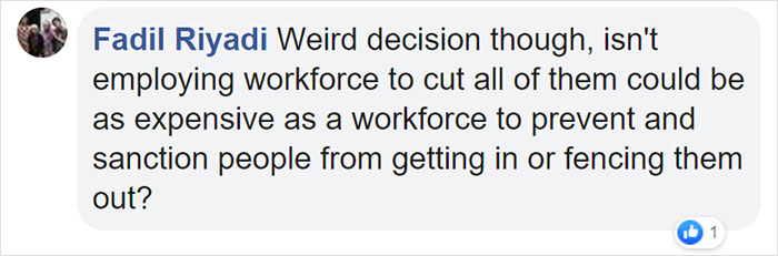 800,000 Tulips Were Cut Down In This Japanese City After Its Residents Failed To Follow Quarantine Rules 800,000 Tulips Were Cut Down In This Japanese City After Its Residents Failed To Follow Quarantine Rules