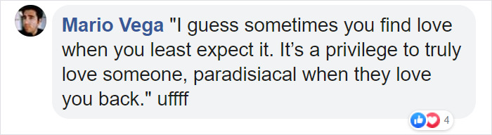 Photographer Captures A Shot Of Two Widowed Penguins Overlooking The Melbourne Skyline Together Photographer Captures A Shot Of Two Widowed Penguins Overlooking The Melbourne Skyline Together