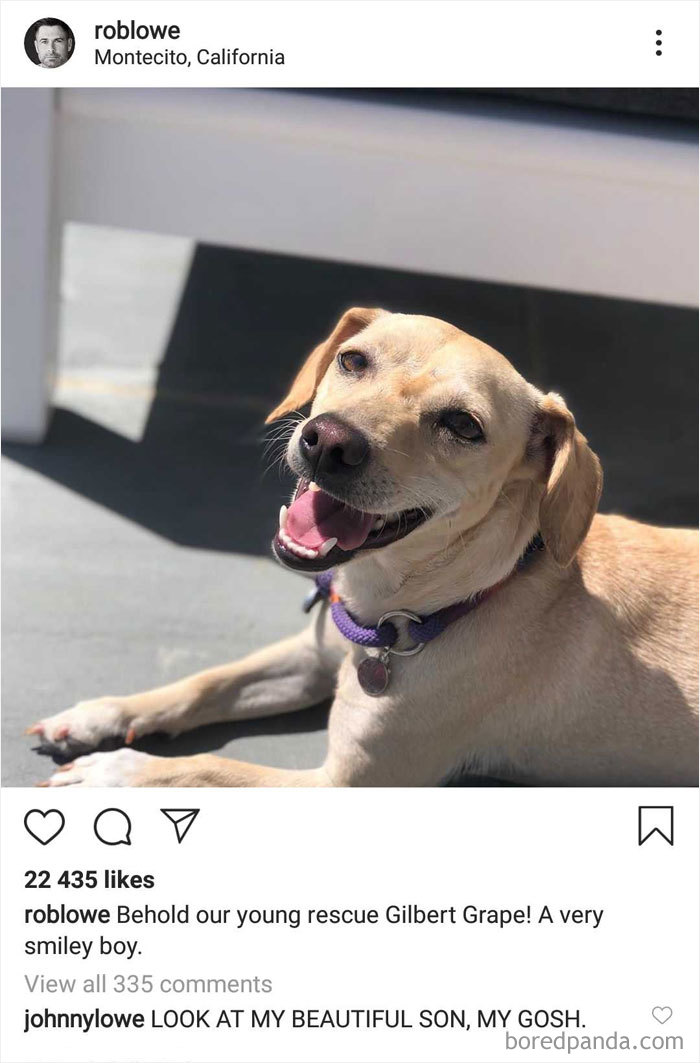 Rob Lowe’s Sons Keep Trolling Him On Instagram, And It’s Hilarious (26 New Pics) Rob Lowe’s Sons Keep Trolling Him On Instagram, And It’s Hilarious (26 New Pics)