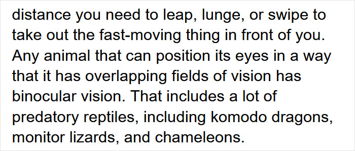 Guy Asks Why Dragons Have Eyes On The Sides Of Their Heads If They Are Predators, A Tumblr User Gives A Scientific Explanation