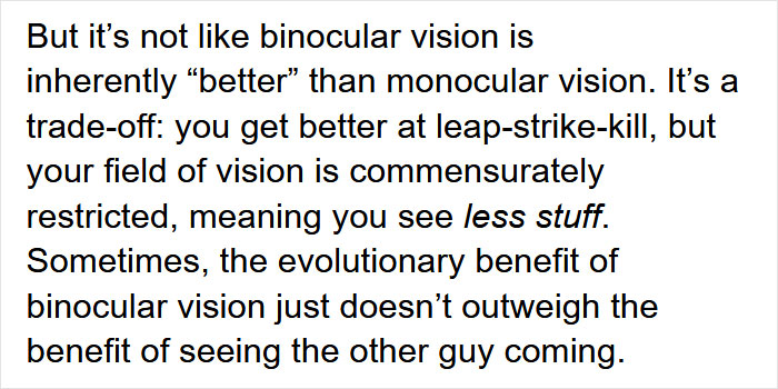 Guy Asks Why Dragons Have Eyes On The Sides Of Their Heads If They Are Predators, A Tumblr User Gives A Scientific Explanation