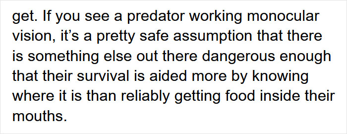 Guy Asks Why Dragons Have Eyes On The Sides Of Their Heads If They Are Predators, A Tumblr User Gives A Scientific Explanation