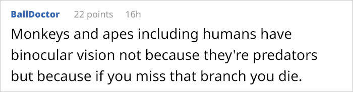 Guy Asks Why Dragons Have Eyes On The Sides Of Their Heads If They Are Predators, A Tumblr User Gives A Scientific Explanation