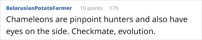 Guy Asks Why Dragons Have Eyes On The Sides Of Their Heads If They Are Predators, A Tumblr User Gives A Scientific Explanation