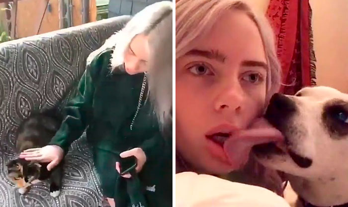Billie Eilish ‘Fails’ At Fostering A Pit Bull In Quarantine By Adopting It