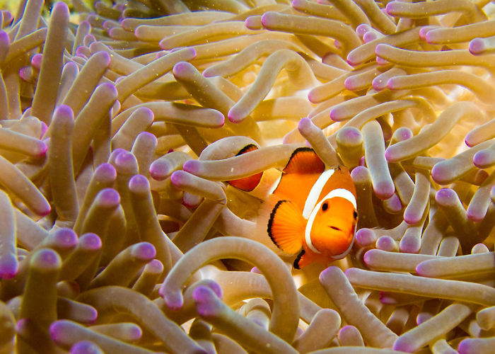 Zookeepers Share How Animals Are Reacting To The Lack Of Visitors Zookeepers Share How Animals Are Reacting To The Lack Of Visitors