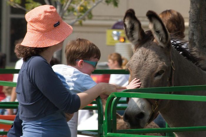 Zookeepers Share How Animals Are Reacting To The Lack Of Visitors Zookeepers Share How Animals Are Reacting To The Lack Of Visitors