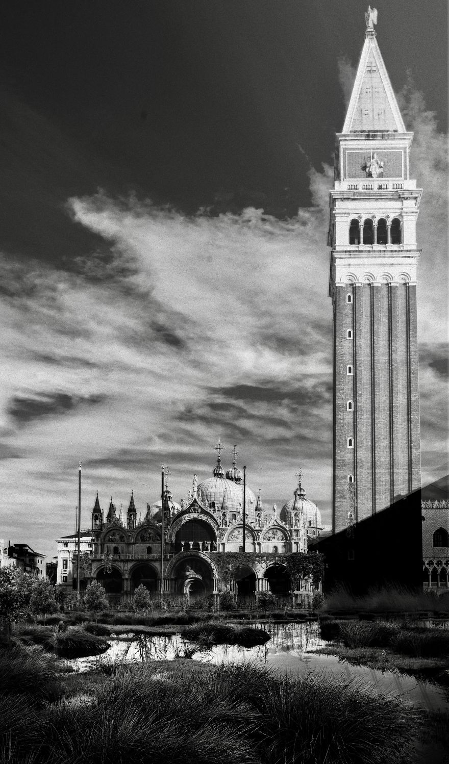 “Beyond”: My Take On What The World Will Look Like If Quarantine Doesn’t End “Beyond”: My Take On What The World Will Look Like If Quarantine Doesn’t End