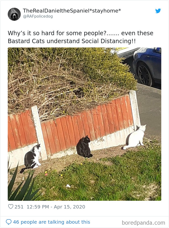 25 Times People Noticed Animals Following Social Distancing Rules And Decided To Share The Pics Online 25 Times People Noticed Animals Following Social Distancing Rules And Decided To Share The Pics Online