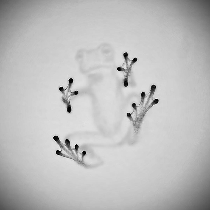 28 Three-dimensional Pencil Drawings By Willie Hsu 28 Three-dimensional Pencil Drawings By Willie Hsu