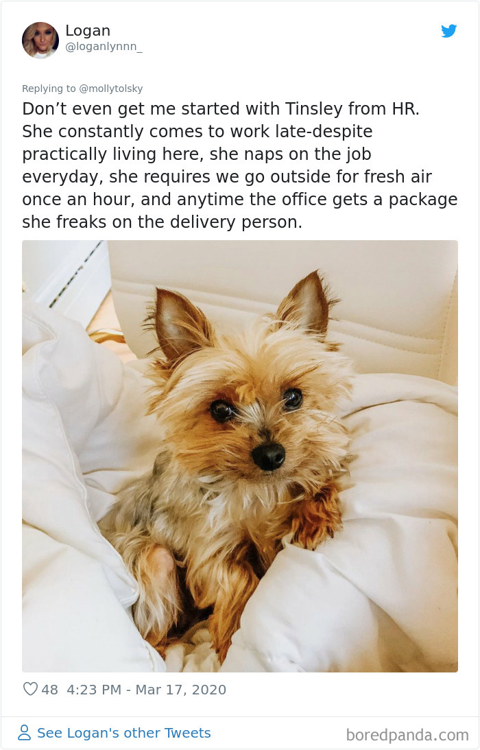 Someone Suggests That Couples Working From Home Should Blame Things On Fake “Coworkers”, Gets 30 Funny Replies Someone Suggests That Couples Working From Home Should Blame Things On Fake “Coworkers”, Gets 30 Funny Replies