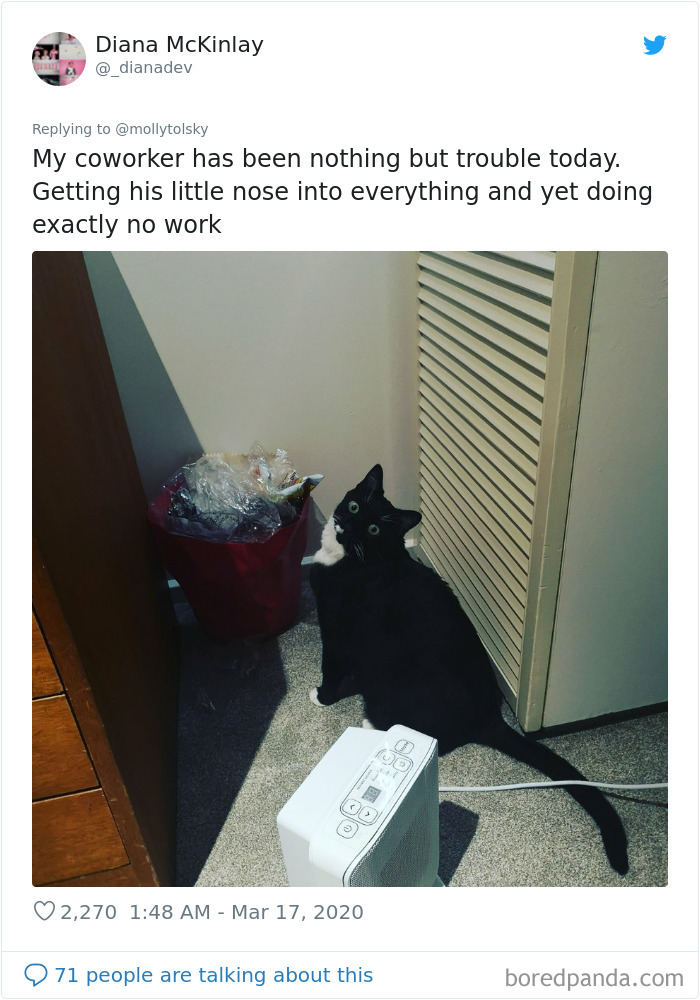 Someone Suggests That Couples Working From Home Should Blame Things On Fake “Coworkers”, Gets 30 Funny Replies Someone Suggests That Couples Working From Home Should Blame Things On Fake “Coworkers”, Gets 30 Funny Replies