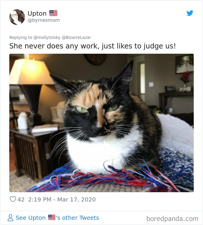 Someone Suggests That Couples Working From Home Should Blame Things On Fake “Coworkers”, Gets 30 Funny Replies Someone Suggests That Couples Working From Home Should Blame Things On Fake “Coworkers”, Gets 30 Funny Replies