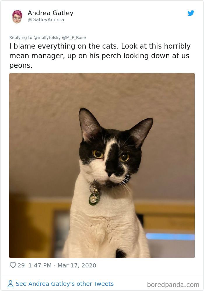 Someone Suggests That Couples Working From Home Should Blame Things On Fake “Coworkers”, Gets 30 Funny Replies Someone Suggests That Couples Working From Home Should Blame Things On Fake “Coworkers”, Gets 30 Funny Replies