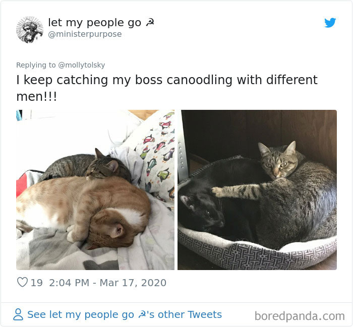 Someone Suggests That Couples Working From Home Should Blame Things On Fake “Coworkers”, Gets 30 Funny Replies Someone Suggests That Couples Working From Home Should Blame Things On Fake “Coworkers”, Gets 30 Funny Replies