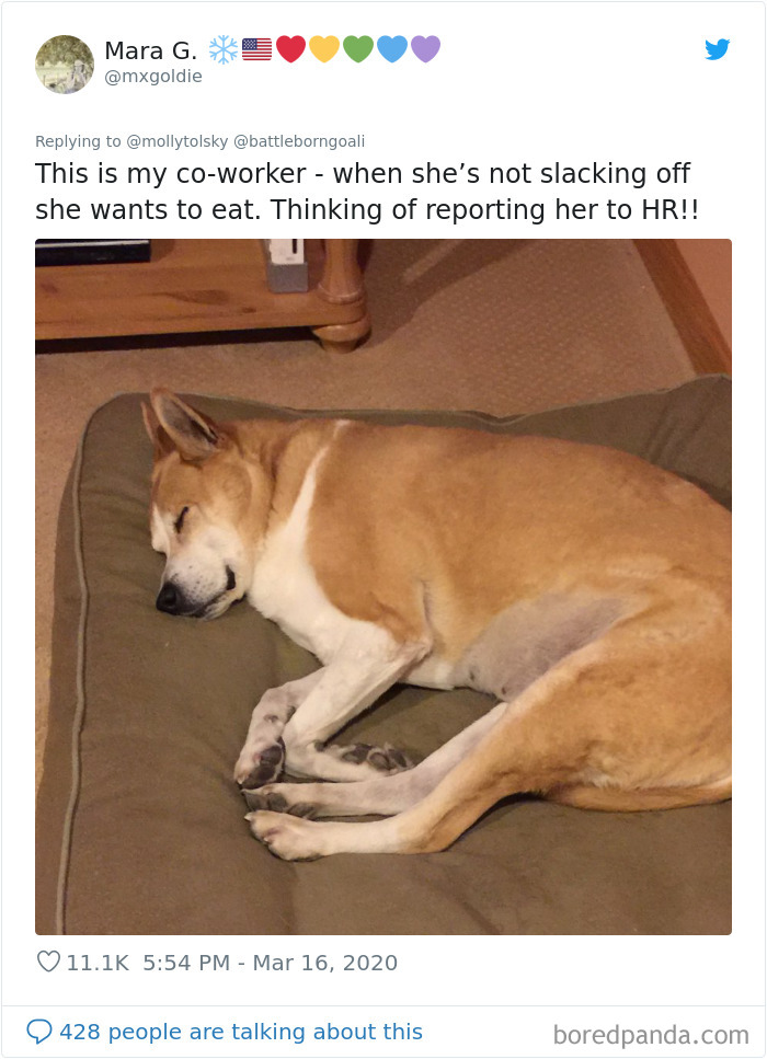 Someone Suggests That Couples Working From Home Should Blame Things On Fake “Coworkers”, Gets 30 Funny Replies Someone Suggests That Couples Working From Home Should Blame Things On Fake “Coworkers”, Gets 30 Funny Replies