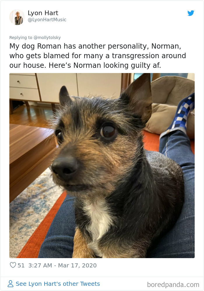 Someone Suggests That Couples Working From Home Should Blame Things On Fake “Coworkers”, Gets 30 Funny Replies Someone Suggests That Couples Working From Home Should Blame Things On Fake “Coworkers”, Gets 30 Funny Replies