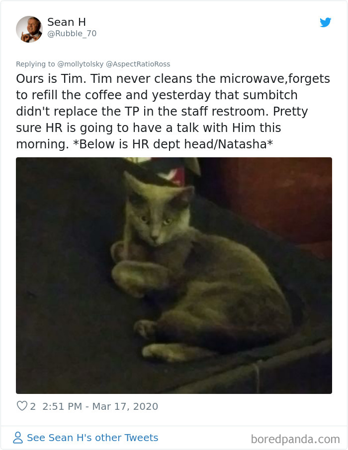 Someone Suggests That Couples Working From Home Should Blame Things On Fake “Coworkers”, Gets 30 Funny Replies Someone Suggests That Couples Working From Home Should Blame Things On Fake “Coworkers”, Gets 30 Funny Replies