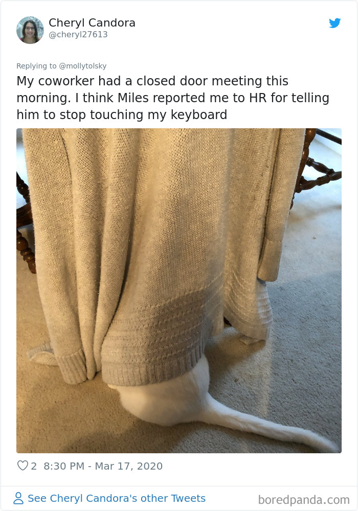 Someone Suggests That Couples Working From Home Should Blame Things On Fake “Coworkers”, Gets 30 Funny Replies Someone Suggests That Couples Working From Home Should Blame Things On Fake “Coworkers”, Gets 30 Funny Replies