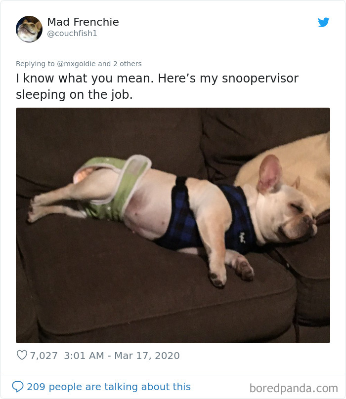 Someone Suggests That Couples Working From Home Should Blame Things On Fake “Coworkers”, Gets 30 Funny Replies Someone Suggests That Couples Working From Home Should Blame Things On Fake “Coworkers”, Gets 30 Funny Replies