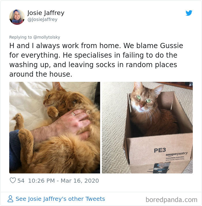 Someone Suggests That Couples Working From Home Should Blame Things On Fake “Coworkers”, Gets 30 Funny Replies Someone Suggests That Couples Working From Home Should Blame Things On Fake “Coworkers”, Gets 30 Funny Replies