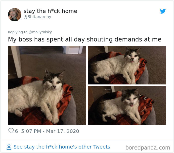 Someone Suggests That Couples Working From Home Should Blame Things On Fake “Coworkers”, Gets 30 Funny Replies Someone Suggests That Couples Working From Home Should Blame Things On Fake “Coworkers”, Gets 30 Funny Replies