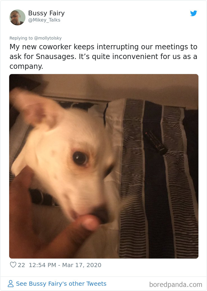 Someone Suggests That Couples Working From Home Should Blame Things On Fake “Coworkers”, Gets 30 Funny Replies Someone Suggests That Couples Working From Home Should Blame Things On Fake “Coworkers”, Gets 30 Funny Replies