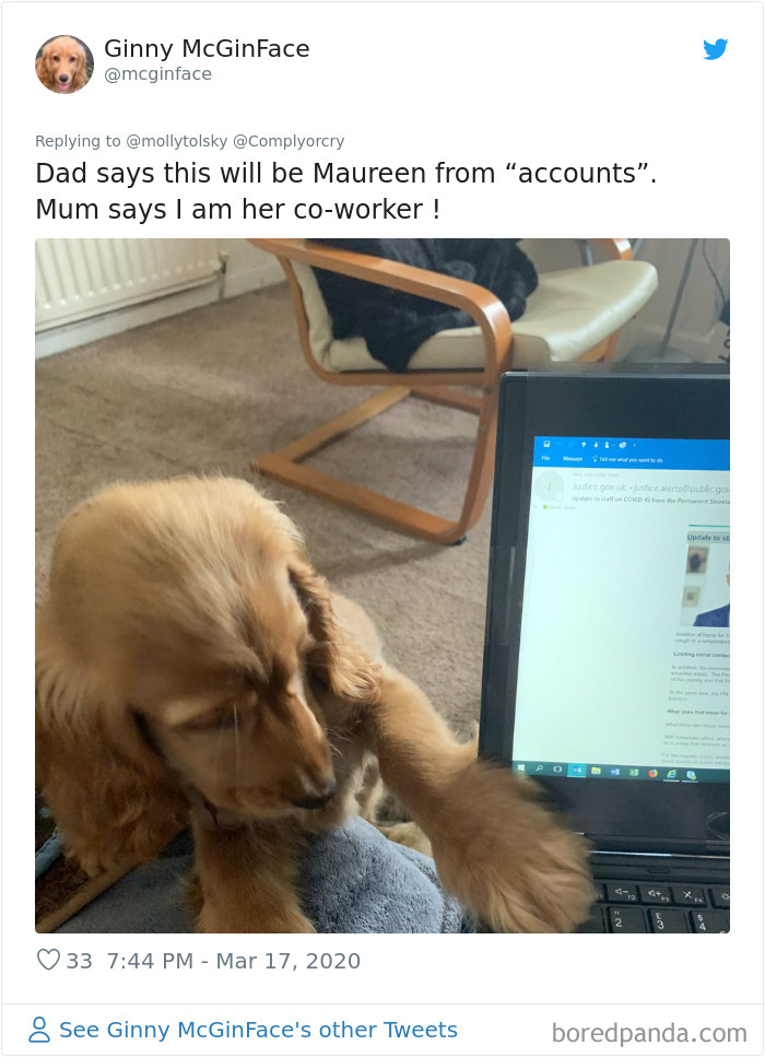 Someone Suggests That Couples Working From Home Should Blame Things On Fake “Coworkers”, Gets 30 Funny Replies Someone Suggests That Couples Working From Home Should Blame Things On Fake “Coworkers”, Gets 30 Funny Replies