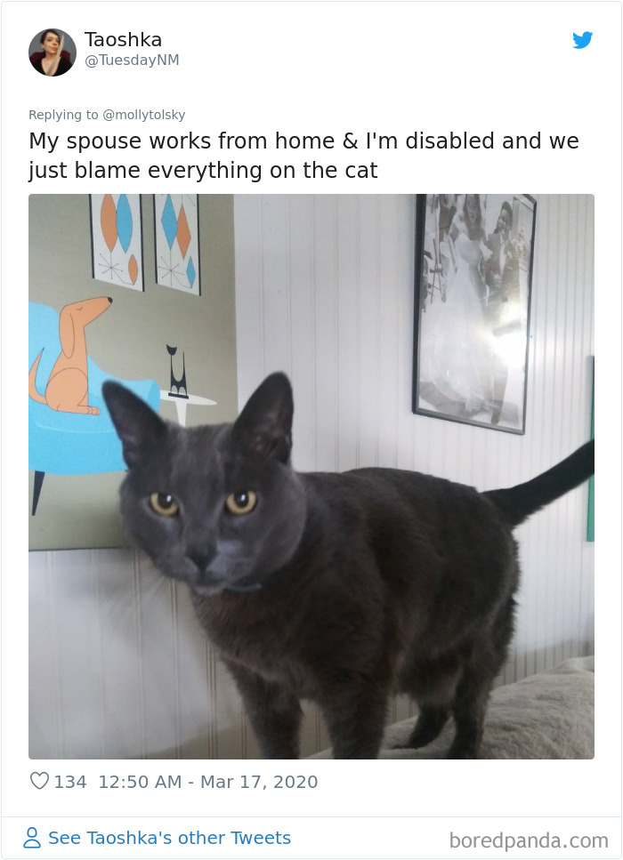 Someone Suggests That Couples Working From Home Should Blame Things On Fake “Coworkers”, Gets 30 Funny Replies Someone Suggests That Couples Working From Home Should Blame Things On Fake “Coworkers”, Gets 30 Funny Replies