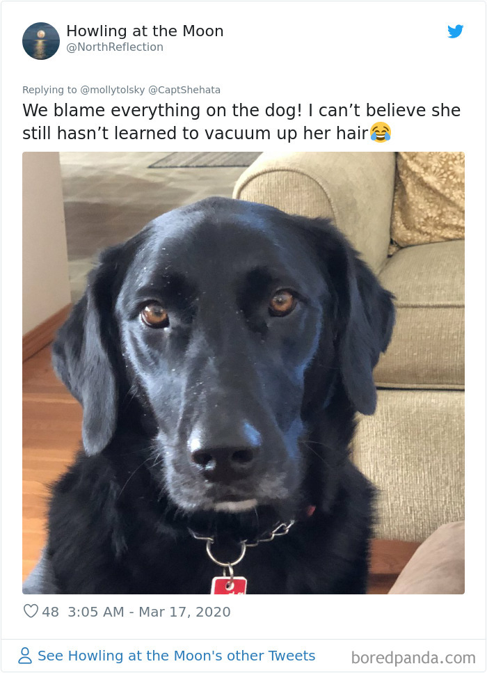 Someone Suggests That Couples Working From Home Should Blame Things On Fake “Coworkers”, Gets 30 Funny Replies Someone Suggests That Couples Working From Home Should Blame Things On Fake “Coworkers”, Gets 30 Funny Replies