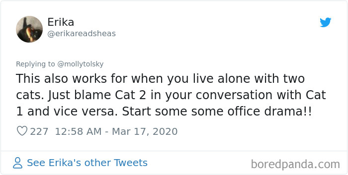 Someone Suggests That Couples Working From Home Should Blame Things On Fake “Coworkers”, Gets 30 Funny Replies Someone Suggests That Couples Working From Home Should Blame Things On Fake “Coworkers”, Gets 30 Funny Replies