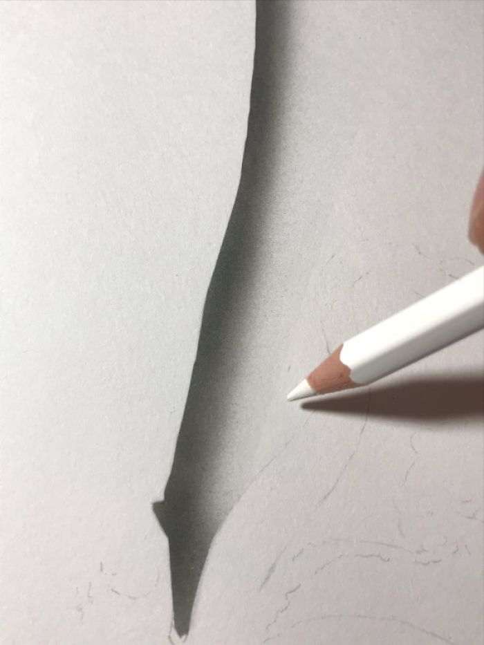 Japanese Artist Creates Incredibly Realistic Drawing Of A Squid That Looks Like A High-Resolution Photograph Japanese Artist Creates Incredibly Realistic Drawing Of A Squid That Looks Like A High-Resolution Photograph