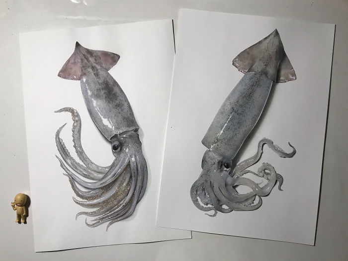 Japanese Artist Creates Incredibly Realistic Drawing Of A Squid That Looks Like A High-Resolution Photograph Japanese Artist Creates Incredibly Realistic Drawing Of A Squid That Looks Like A High-Resolution Photograph