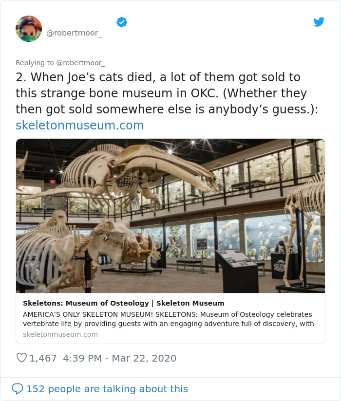 Person Shares 23 Wild Facts That Were Left Out Of Tiger King Person Shares 23 Wild Facts That Were Left Out Of Tiger King