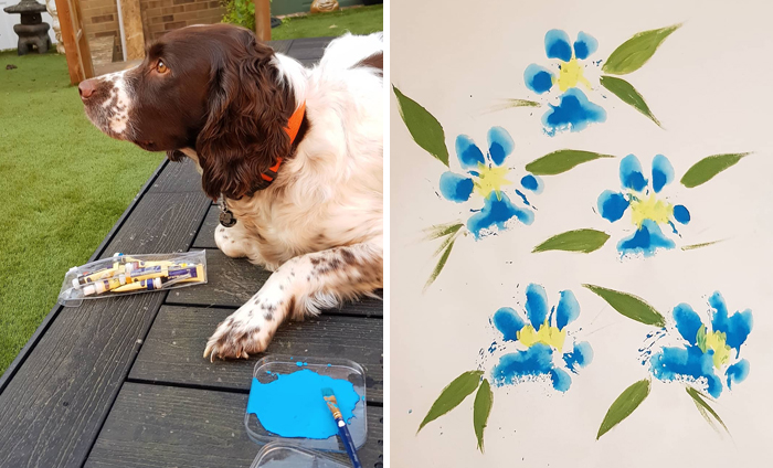 30 Adorable Works Of Art Made By Even More Adorable Pawcassos