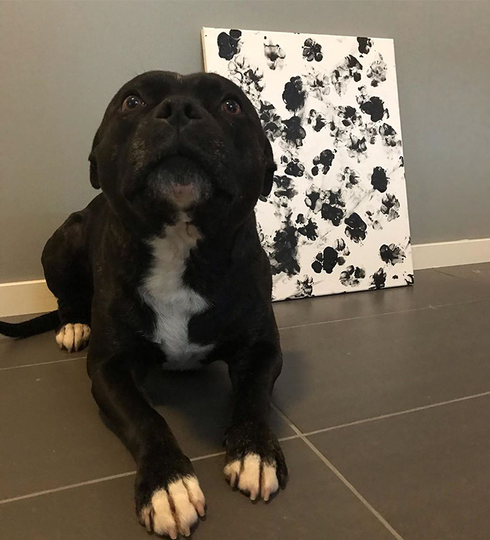 30 Adorable Works Of Art Made By Even More Adorable Pawcassos